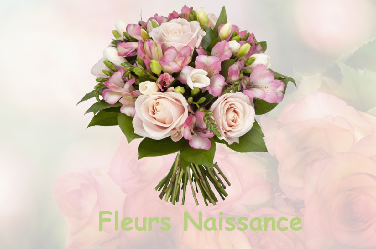 fleurs naissance BREVANS