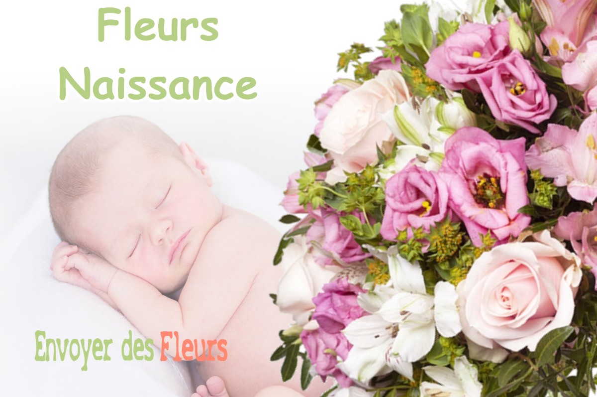 lIVRAISON FLEURS NAISSANCE à BREVANS